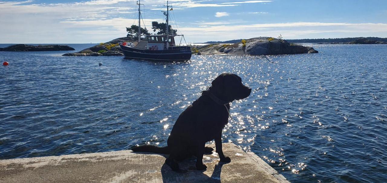 Moeja Stuga I Stockholms Skaergard المظهر الخارجي الصورة
